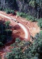 indonesia_deforestation_threat091113afp275